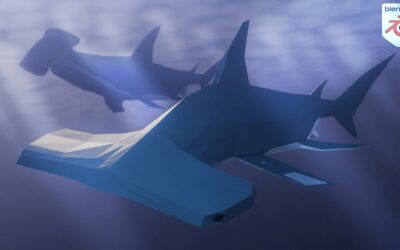 Modéliser un animal low poly sur Blender – Le requin marteau